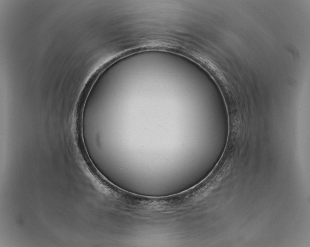 X0000112170991200908211422