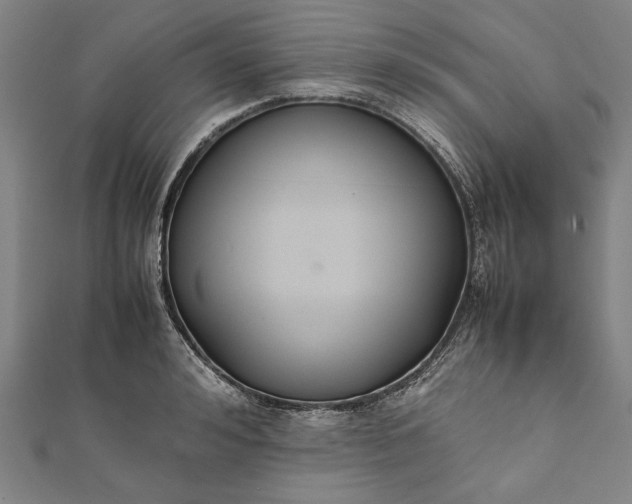 X0000112170992200908211422