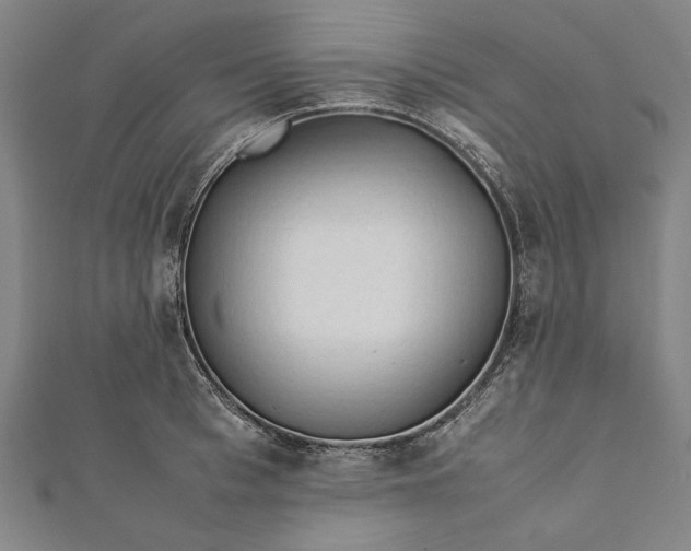 X0000112170993200908211422