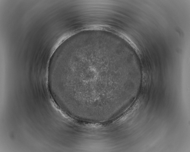 X0000112170994200908211422