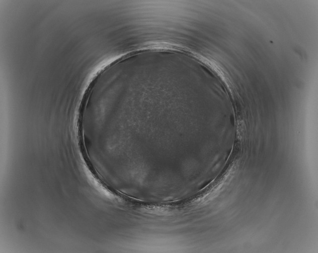 X0000112170995200908211422