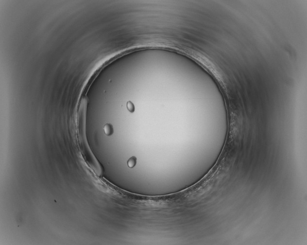 X0000112170996200908211422