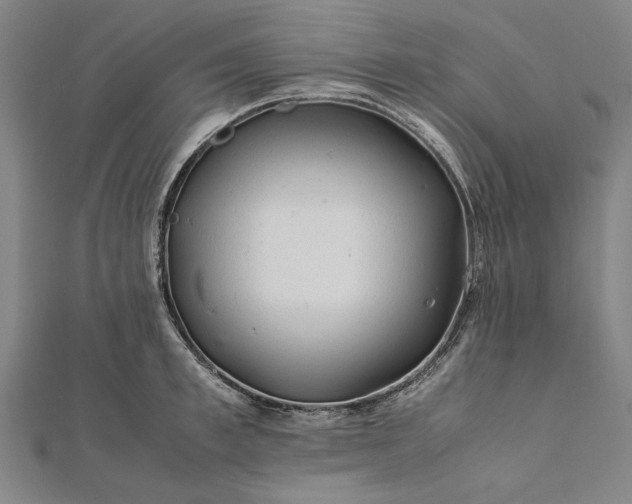 X0000112170997200908211422