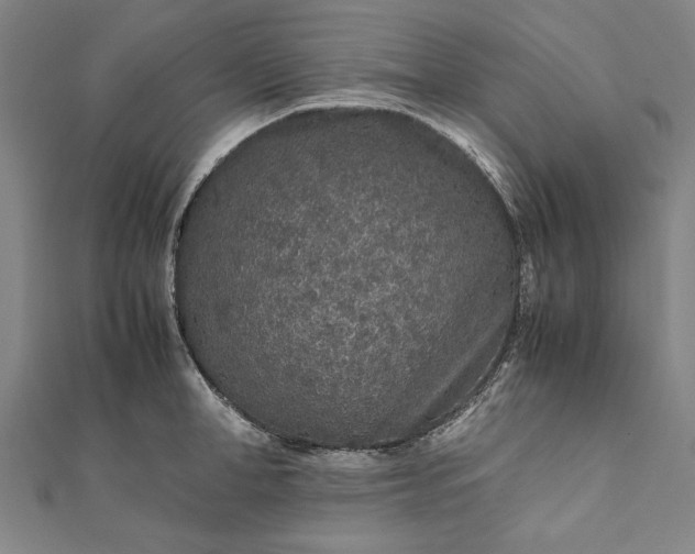 X0000112170998200908211422