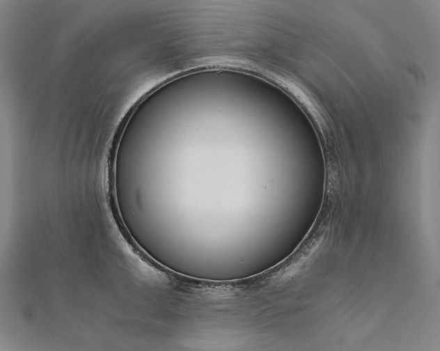 X0000112170999200908211422