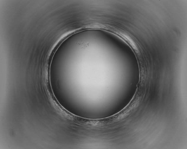 X0000112171000200908211422