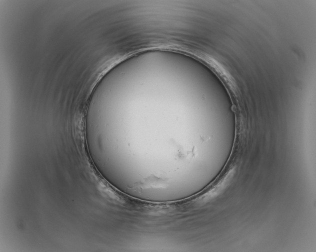 X0000112171001200908211422