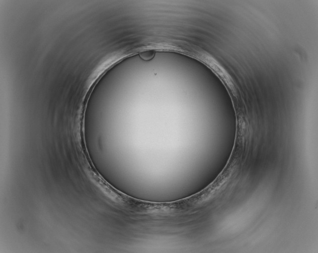 X0000112171002200908211422