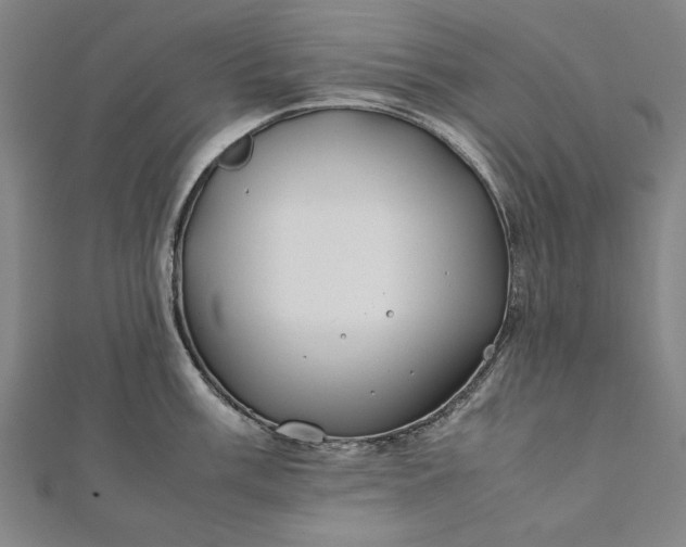 X0000112171003200908211422