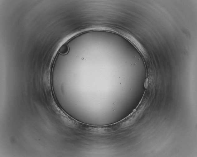 X0000112171004200908211422