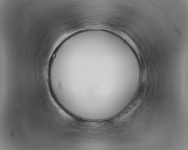 X0000112171005200908211422