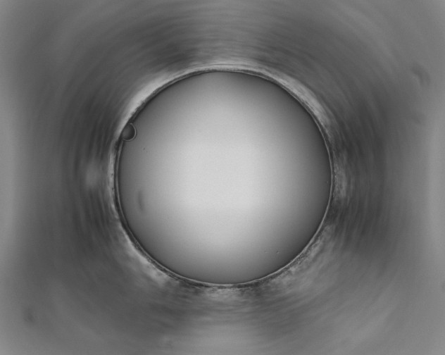 X0000112171006200908211422