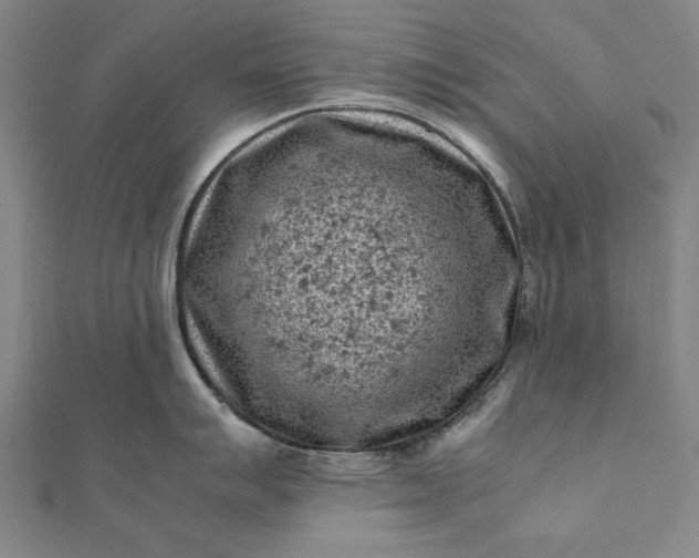 X0000112171007200908211422