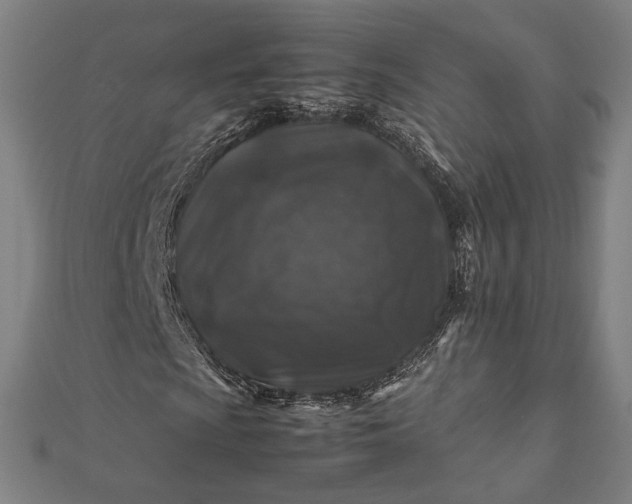 X0000112171009200908211421