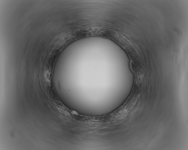 X0000112171010200908211421