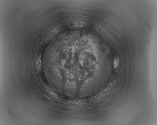 X0000112171011200908211421