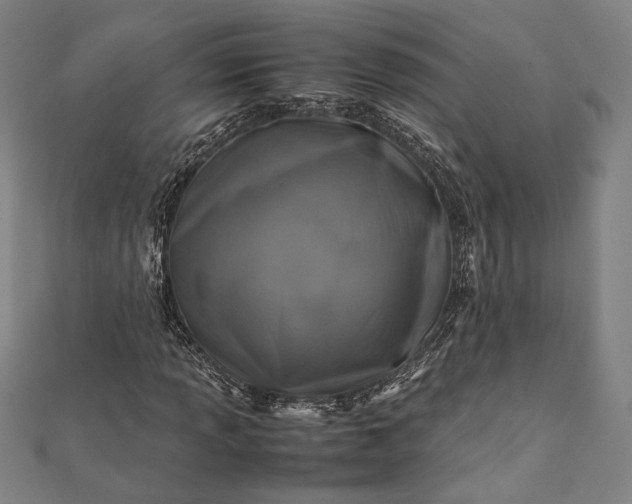 X0000112171013200908211421