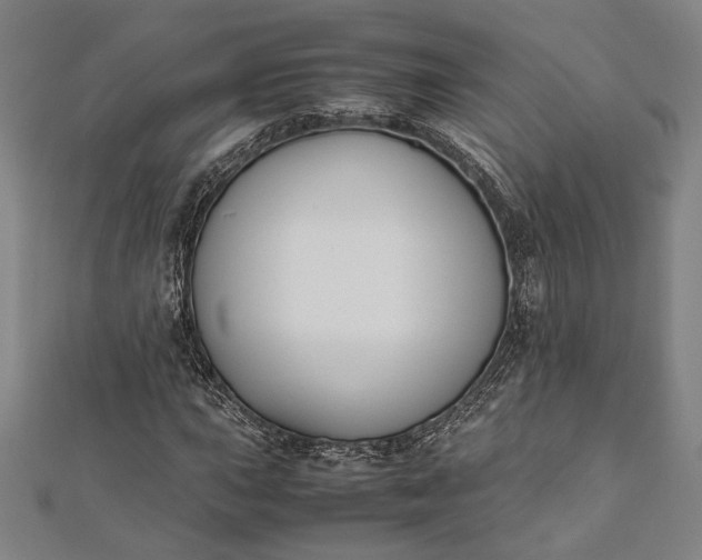 X0000112171015200908211421