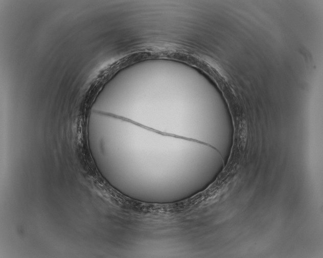 X0000112171016200908211421