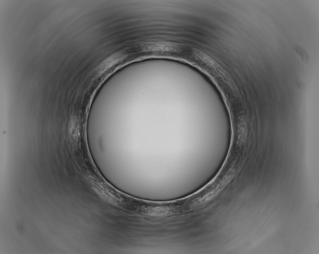 X0000112171017200908211421