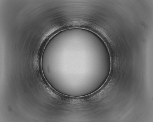 X0000112171018200908211421