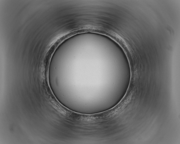 X0000112171019200908211421