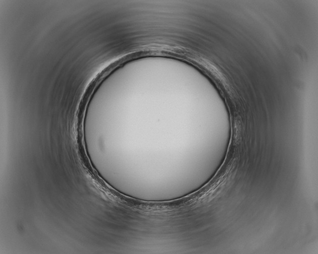 X0000112171020200908211421