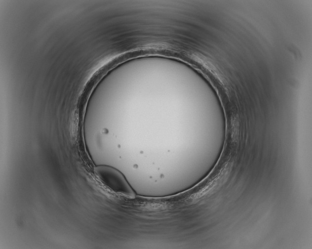 X0000112171021200908211421