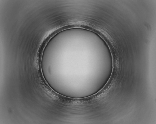 X0000112171022200908211421