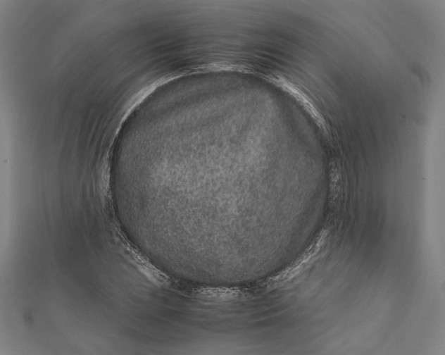 X0000112171023200908211421