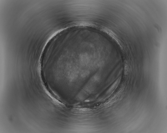 X0000112171024200908211421