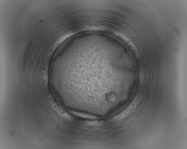 X0000112171025200908211421