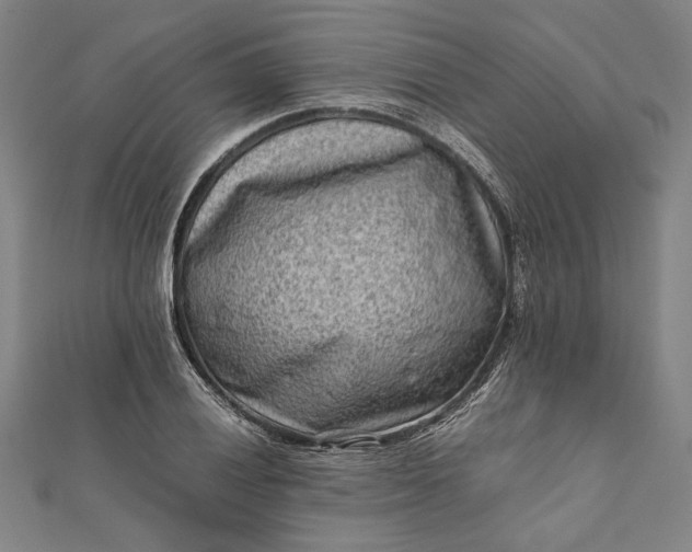 X0000112171028200908211421