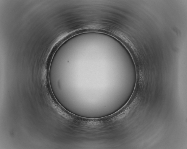 X0000112171029200908211421