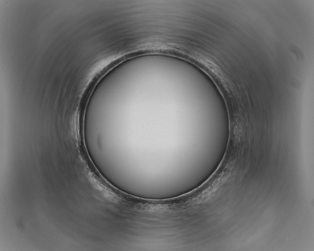 X0000112171030200908211421