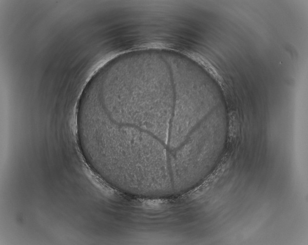 X0000112171031200908211421