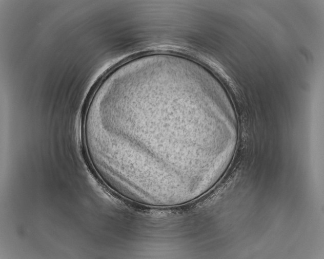 X0000112171032200908211421