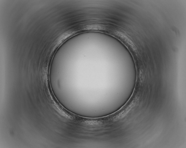 X0000112171033200908211421