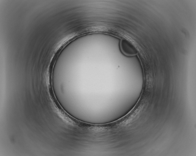 X0000112171034200908211421