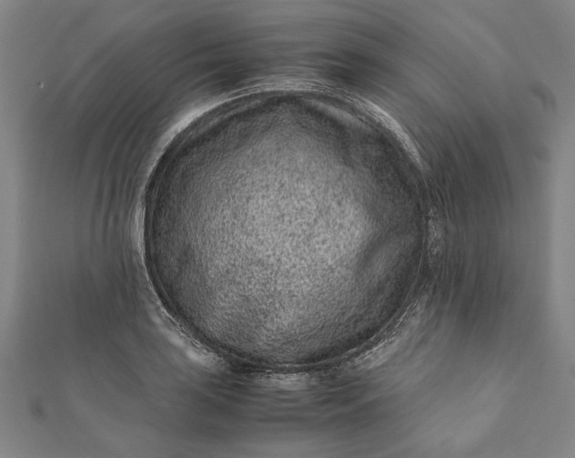 X0000112171035200908211422