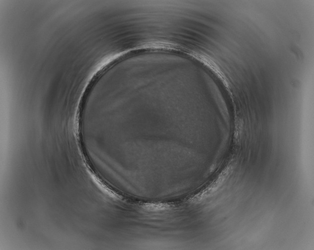 X0000112171037200908211422