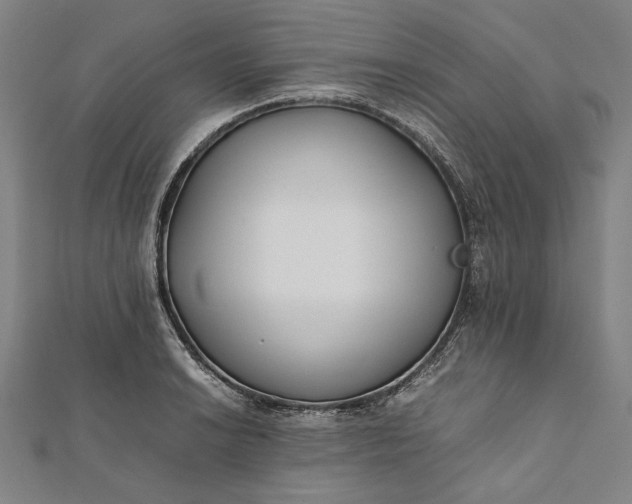 X0000112171038200908211422