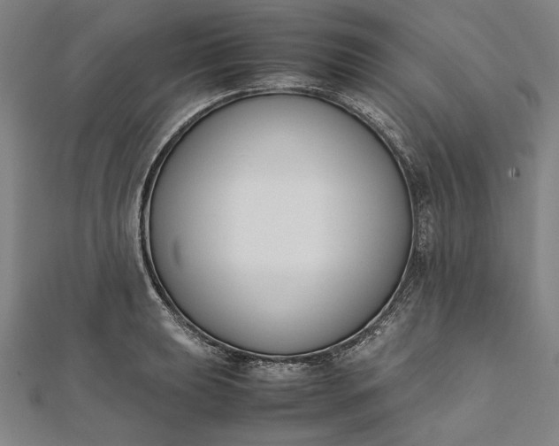 X0000112171039200908211422