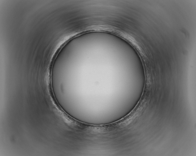 X0000112171040200908211422