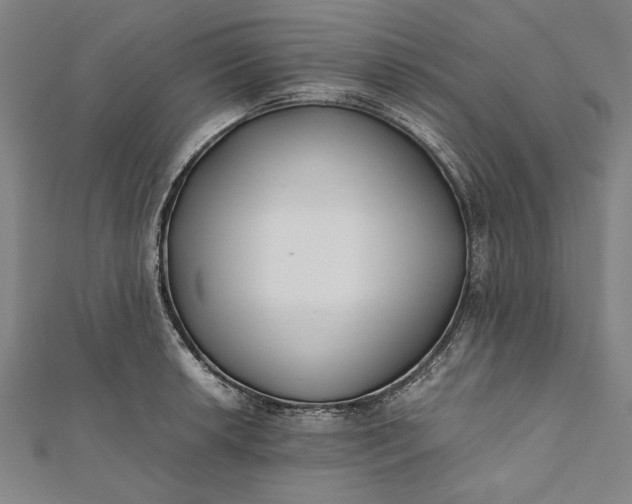 X0000112171042200908211422