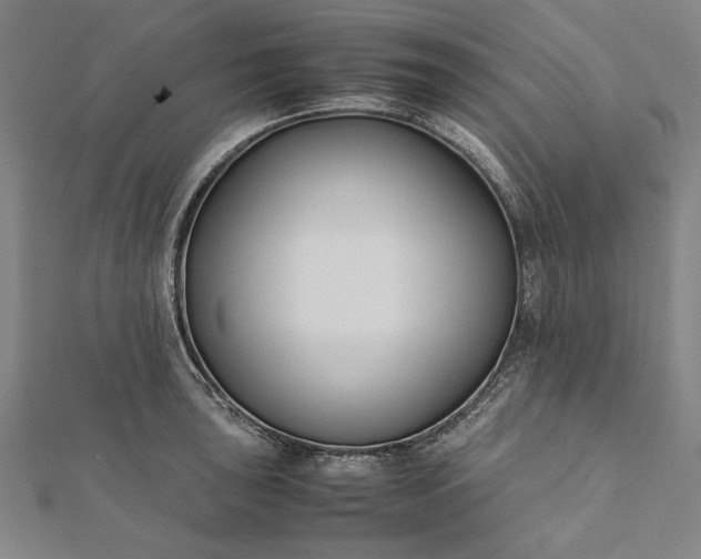 X0000112171043200908211422