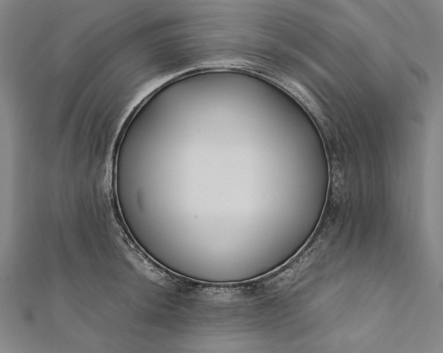 X0000112171044200908211422