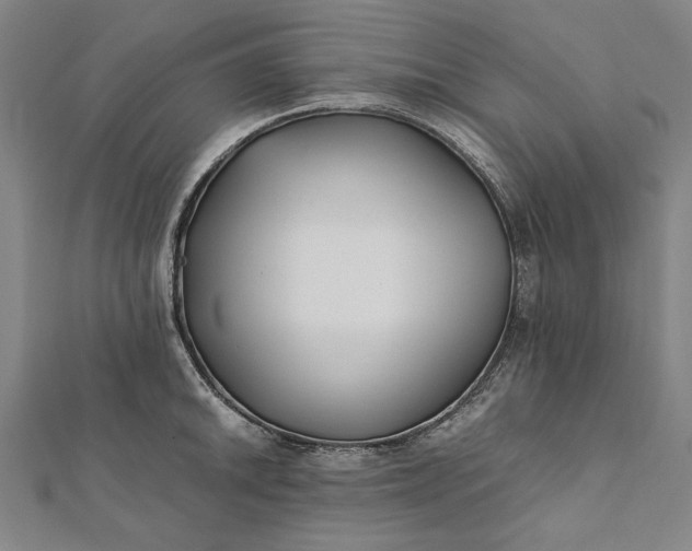 X0000112171046200908211422