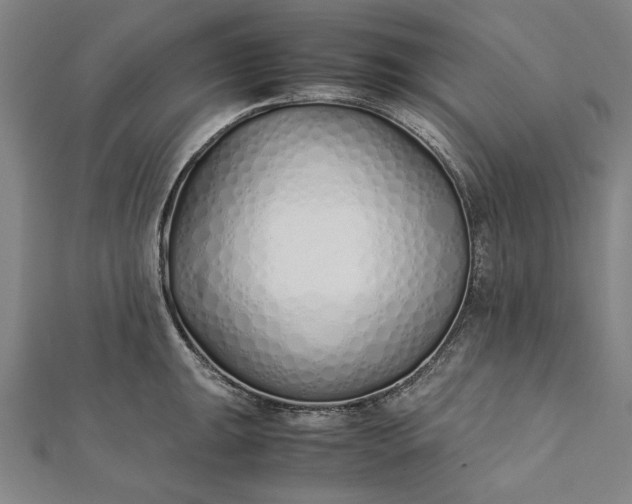 X0000112171047200908211422