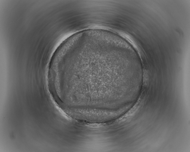 X0000112171048200908211422